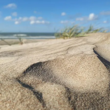 Luxury Dolce - 2 Kambariai - Terasa Prie Misko - 650 M Iki Juros Апартаменты Паланга