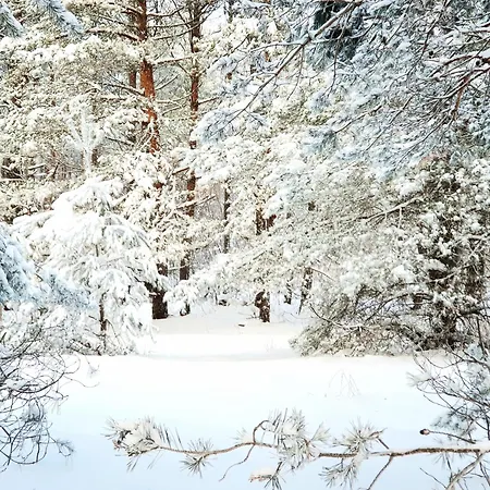 Apartamento Luxury Dolce