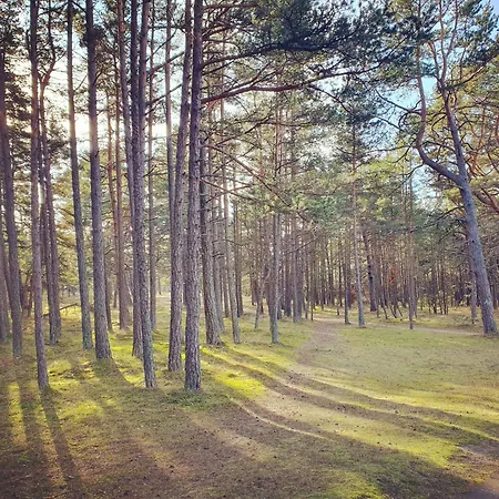 Luxury Dolce Palanga