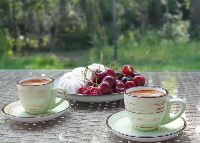 Luxury Dolce - 2 Kambariai - Terasa Prie Misko - 650 M Iki Juros