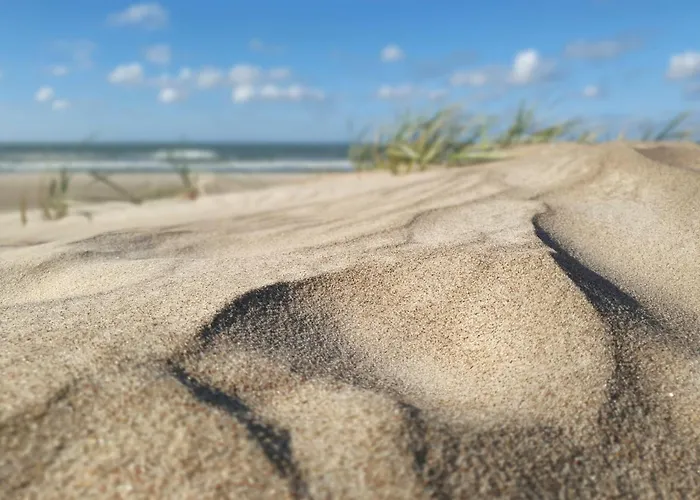 Luxury Dolce - 2 Kambariai - Terasa Prie Misko - 650 M Iki Juros Apartment Palanga