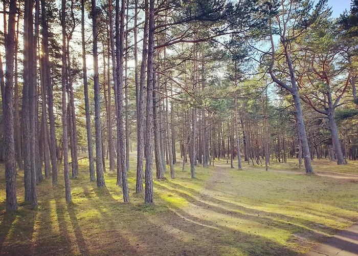 Luxury Dolce - 2 Kambariai - Terasa Prie Misko - 650 M Iki Juros Паланга